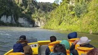 Ngaporo Rapid - Bridge to Nowhere Tours