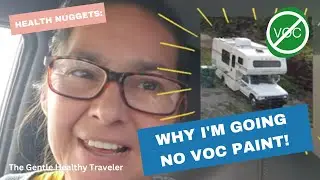 Health Nuggets: Why I'm Going No VOC Paint