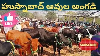 Husnabad market ఆవుల సంత #husnabad #cowsmarket