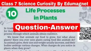 NCERT Class 7 Science Curiosity Chapter 10 Question Answer Life Processes in Plants |  EDUMAGNET