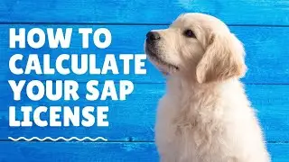 How to calculate my user SAP User License