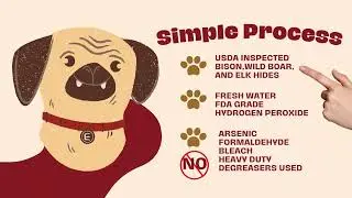 How our Collagen-based Dog Chews are made.