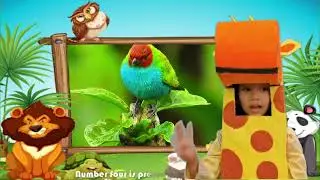 LCPP 2: What Can I Do To Save The Wildlife ?