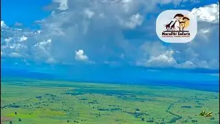 Udzungwa National Park and Mikumi National Park with Marafiki Safaris.