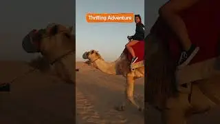 Evening Desert Safari with BBQ Dinner | Cultural Show & Adventure with CityLaila