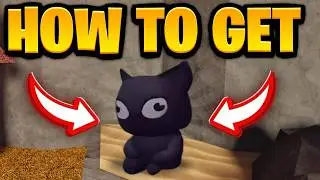 How To COMPLETE TOMOS LOST CAT QUEST In The Forge! (Tomo's Cat Location) | Roblox