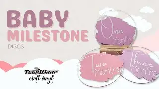 The best way to make Baby Milestone Discs | Teckwrap Vinyl