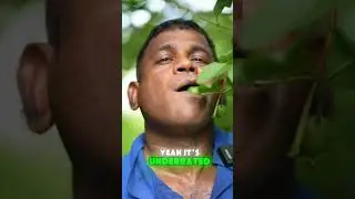 GUAVA FACTS That Slap Harder Than Your Motivation  Fruit Wisdom #Shorts#GuavaFacts #FruitMotivation