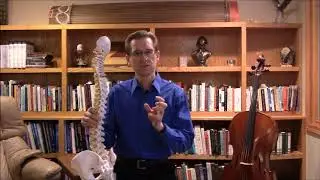 Precision Neuromuscular Therapy for the Low Back