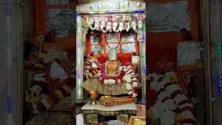 ज्वाला माता | Jobner Jwala Mata Live Darshan | आज के पावन दर्शन | Devdarshan India #shorts