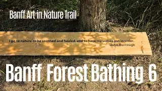 Forest Bathing in Banff, Canada 6 - Art in Nature Trail