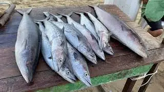 Conheçam o Mercado dos peixes de Fortaleza, Ceará.