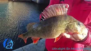 Ultralight en Micro fishing #fishing #fish #shortvideo
