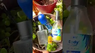 আমার Use করা Best And Affordable কিছু Perfume#perfume#youtubeshorts#bengali#skincare#minivlog#viral