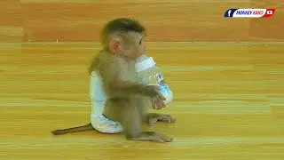 Beautiful Baby NINA Drinking Milk With Hugging Mom Sleeping Well