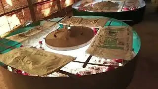 পিপলস এর ইপিএ গ্রেড বয়লার মুরগির বাচ্চা বয়স দ্বিতীয় দিন এবং দ্বিতীয় দিনে যা যা করা হলো,