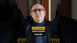 Jak rozwija się PTSD? Na przykładzie kolizji drogowej