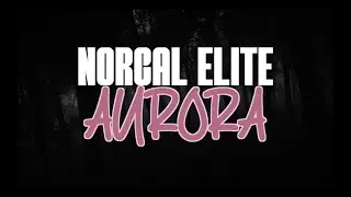 NorCal Elite San Jose Aurora 2025-2026