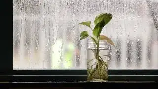 Heavy Rain on Window 🌧️ 10 Hours | Deep Sleep & Relaxing Sounds
