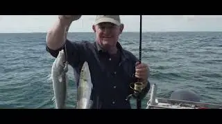 Amazing Effort, King George Whiting Point Turton.