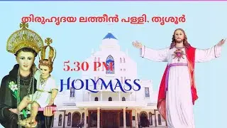 SUNDAY HOLY MASS / FR. JOMITT NADUVILAVEETTIL  / 11-01-2026