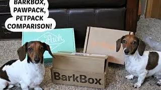 BARKBOX, PETPACK, PAWPACK COMPARISON!
