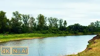 ASMR River Walk 🎧: Calming Summer Sounds & Nature Ambience | Real Field Recording [No AI]