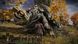 Samurai vs Erdtree Avatar (Liurnia SouthWest - NO HIT) - Elden Ring Boss 042/165