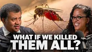 It’s A Bug’s Life, We’re Just Living In It, with Jessica Ware