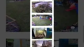 TheBudLab How-To
