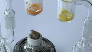 Quartz nail with temperature indicator
