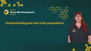 Understanding bee and mite populations