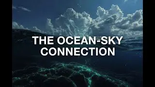 How Plankton Create Clouds | The Hidden Ocean Process That Shapes Earth&rsquo;s Climate