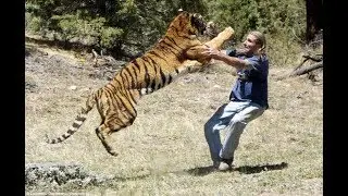 The horror Tiger attack to policeman