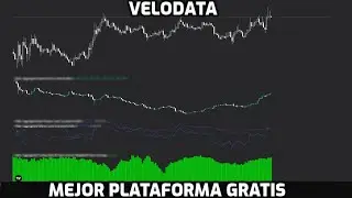 VELODATA - CURSO TRADING