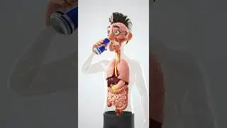 what happens when you drink red bull 🐂 cgi animation #CGI #health