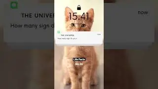 You Need To Read This Message From The Universe
