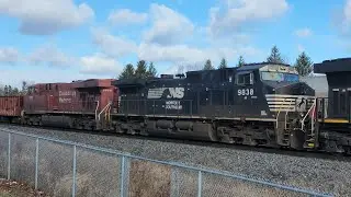 (Norfolk Southern & Canadian Pacific!!) CN 397 - 2330/NS 9838/CP 8802 At Tansley In Burlington Ont