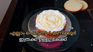 എല്ലാം പെട്ടെന്ന്🙄 Vanila Cake  Malayalam /TrendingCake White Forest/Cakedecoration /Rushaasrecipes
