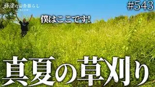 【草刈り】2m超えの大量の雑草で足の踏み場がない庭が見違えるほど綺麗に! #543