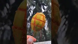 Mouth Watering Amra (Tamarind) Makha 🤤 | Spicy Amra Pickle #shorts #viralvideo #amravati #trending