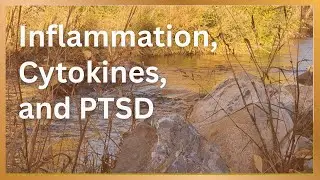 Trauma and Chronic Inflammation | Practical Ways to Reduce Inflammation for Better Health