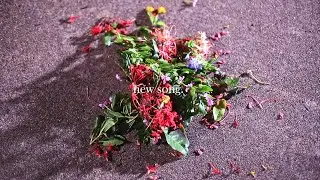 Benjii - New Song (Music Video)