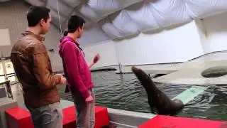ZOO Antwerpen - Vince & Jenno Roadshow R2 Afl 2