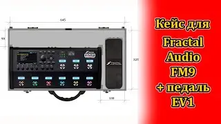 Кейс для процессора Fractal Audio FM9 + педаль EV1. Мастерская Велимир. Custom nade.