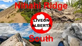 UNTAMED ROCKY MOUNTAIN ESCAPE: Nihahi Ridge South #canadianrockies