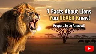 7 Shocking Facts About Lions You Never Knew 🦁 | Secrets of the King of the Wild