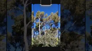 Camping Var vacances Nature face &agrave; Porquerolles le chant des cigales les plus belles plages d'Hy&egrave;res