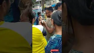 galiff street pet market | dog market Kolkata #shrots #dog #petmarket #galiffstreet
