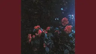 may
